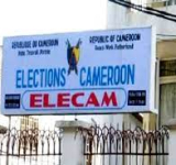 La certification forestière, un moyen pour préserver la faune