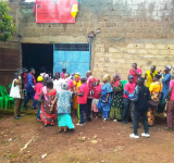 La certification forestière, un moyen pour préserver la faune